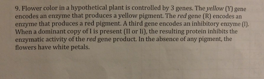 solved-9-flower-color-in-a-hypothetical-plant-is-controlled-chegg