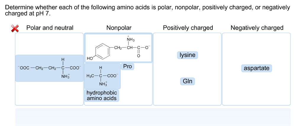 Solved Determine whether each of the following amino acids | Chegg.com