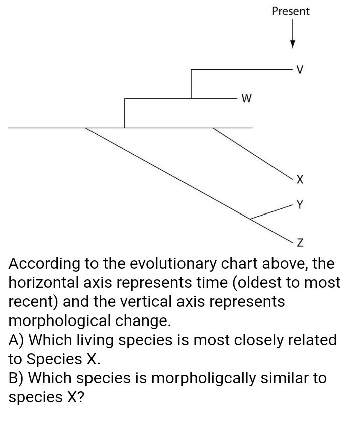 Solved Present According to the evolutionary chart above, | Chegg.com