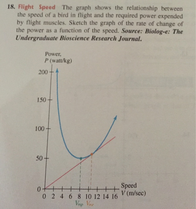 Solved Flight Speed The graph shows the relationship between | Chegg.com