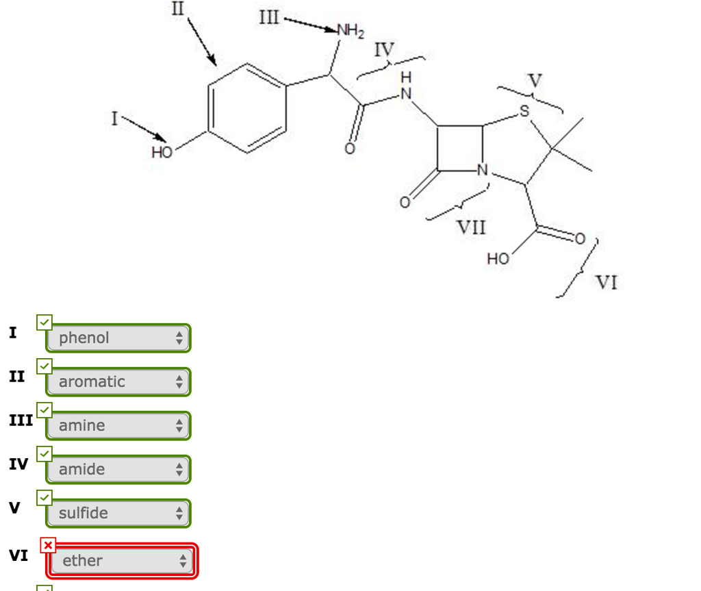Solved Amoxicillin An Antibiotic Has The Following Chegg