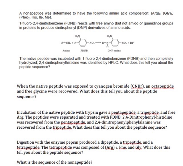 Solved A Nonapeptide Was Determined To Have The Following | Chegg.com