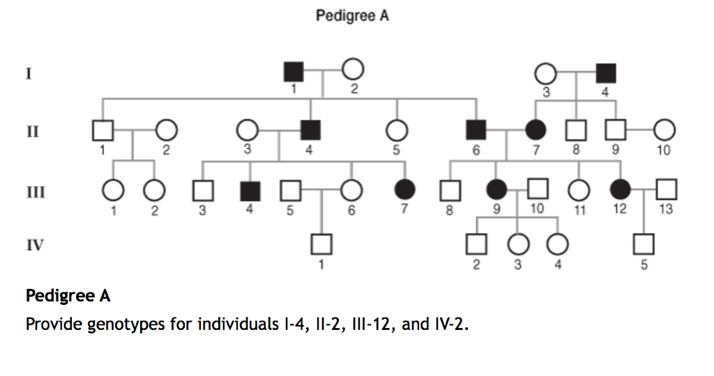 What Are The 4 Patterns Of Inheritance slide share