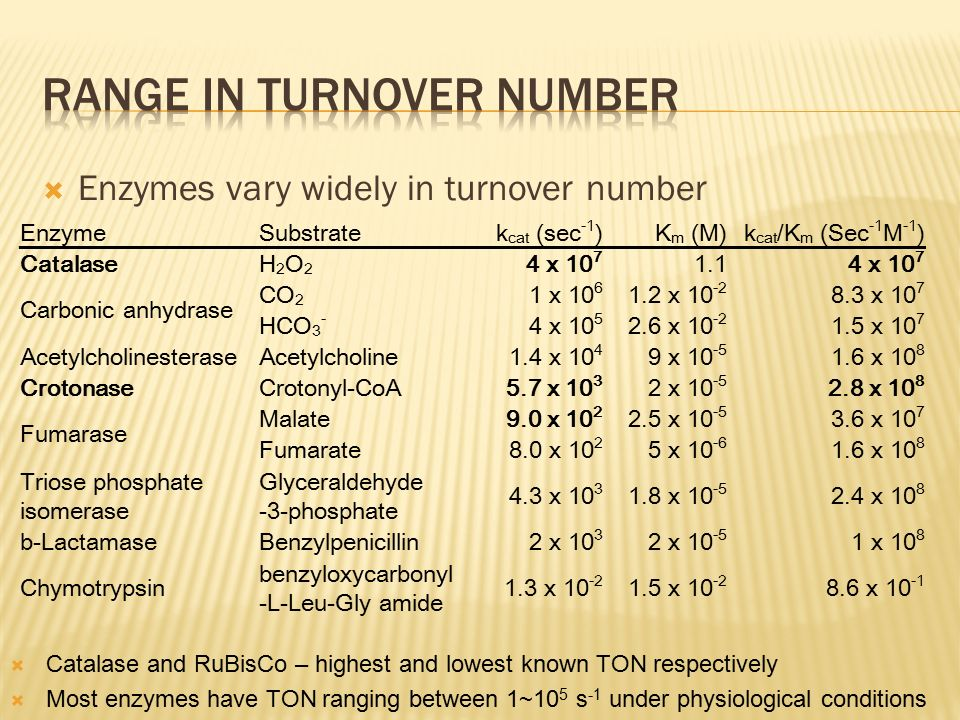 Solved I was asked about the enzyme Fumaraes. the question