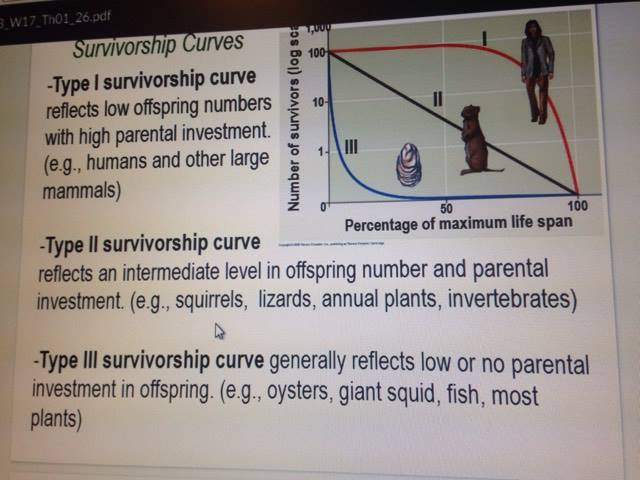 solved-w17-th01-26-pdf-survivorship-curves-a-10-type-i-chegg