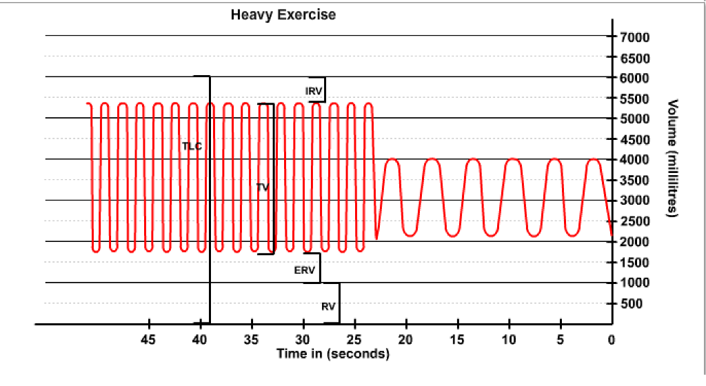 spirometer experiment lab report