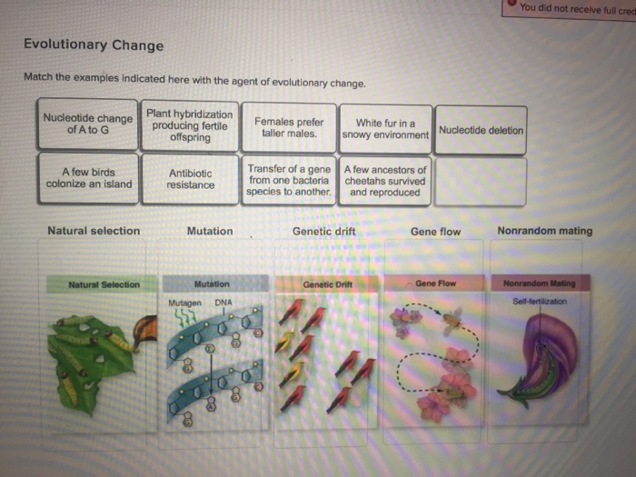 Solved You did not receive full cred Evolutionary Change | Chegg.com