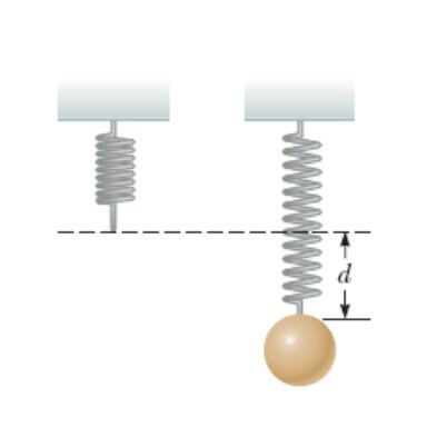 Solved a) A spring oriented vertically is attached to a hard | Chegg.com