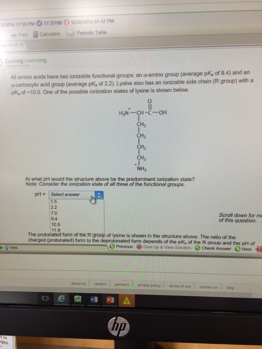 All amino acids have two ionizable functional groups