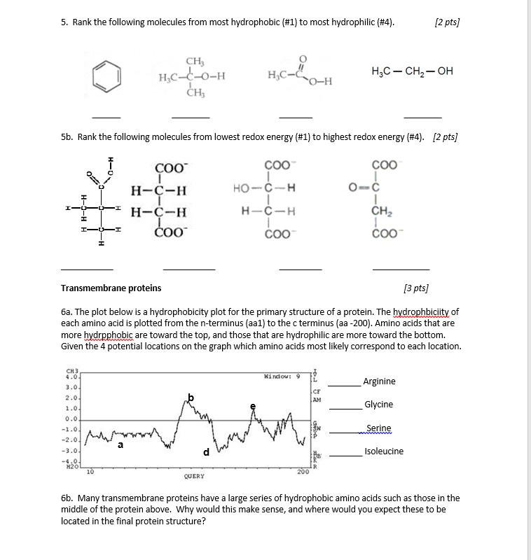 Protein Structure Worksheet Answers