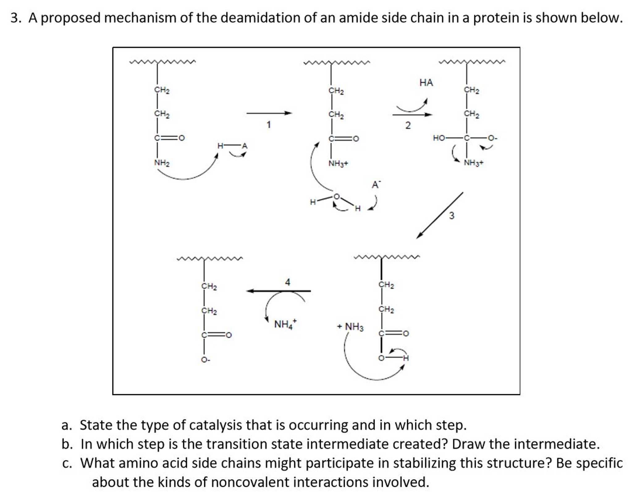 Solved A proposed mechanism of the deamidation of an amide | Chegg.com