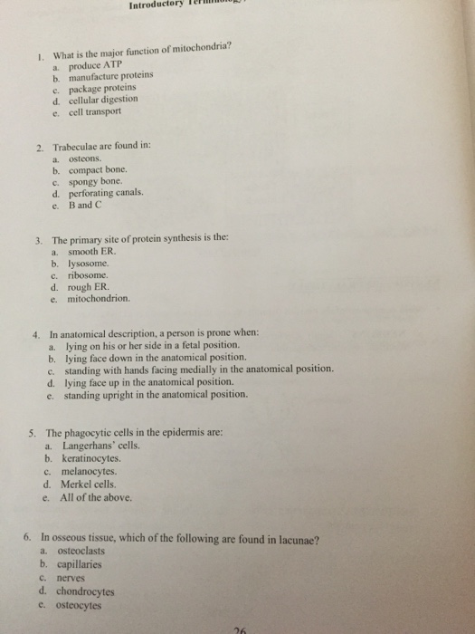 Solved Introductory 1. What is the major function of | Chegg.com