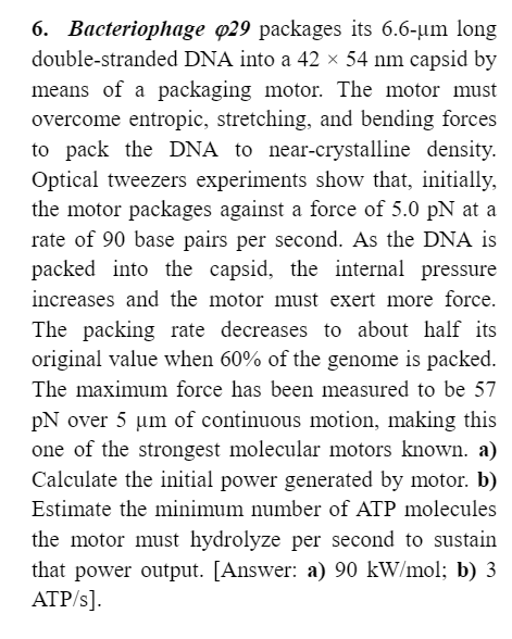 Bacteriophage Phi 29 Packages Its 6 6 mu M Long Chegg