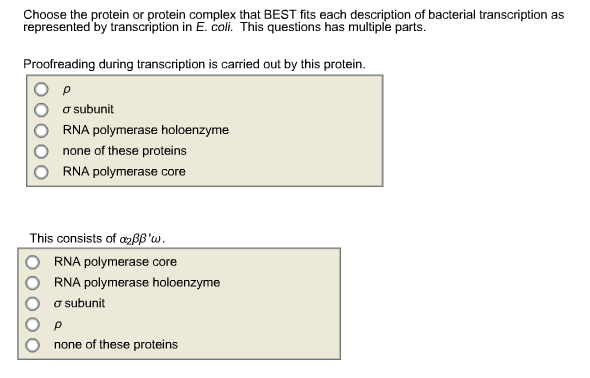 Solved Choose the protein or protein complex that BEST fits  Chegg.com