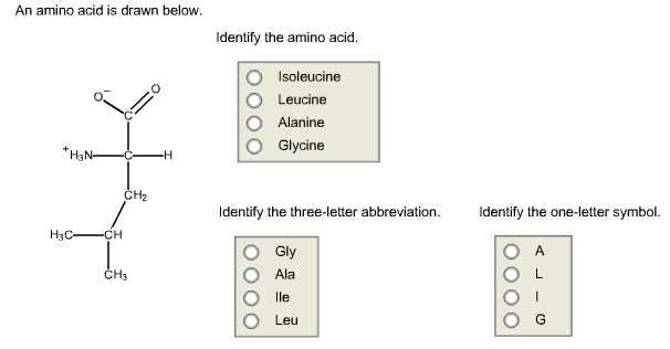 Solved An amino acid is drawn below Identify the amino acid. | Chegg.com