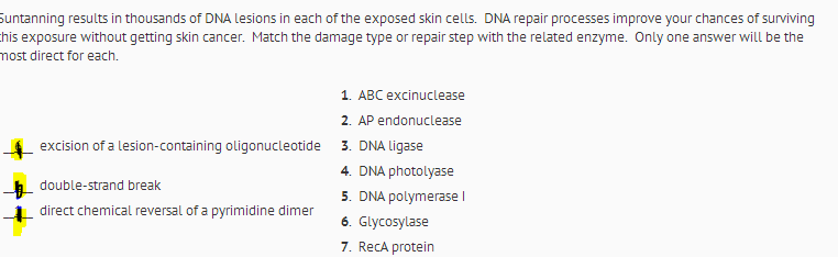 Solved results in thousands of DNA lesions in each of the | Chegg.com