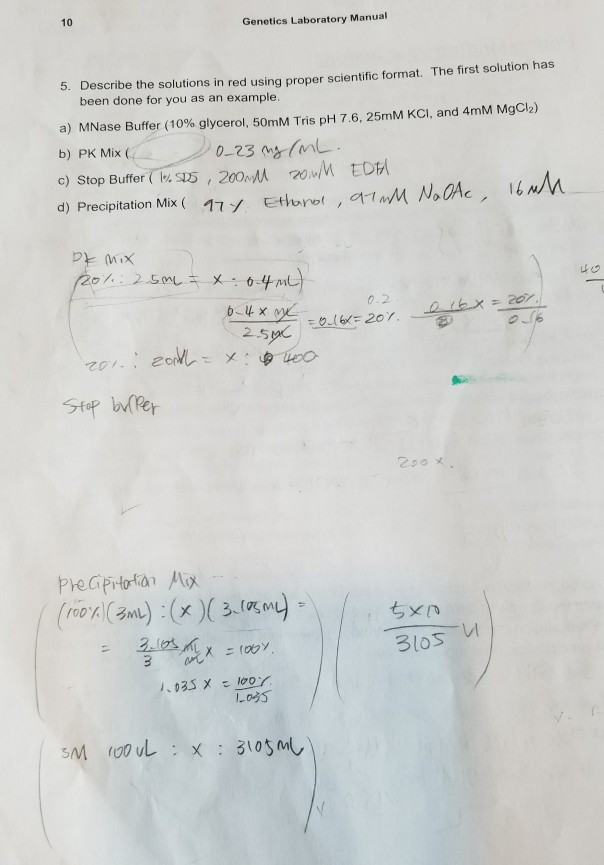 Solved 10 Laboratory Manual 5. Describe the