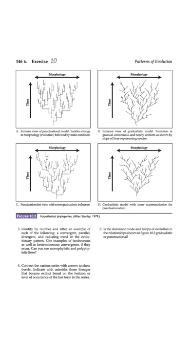 Patterns ofEvolution 145 I gradualistic, then the | Chegg.com