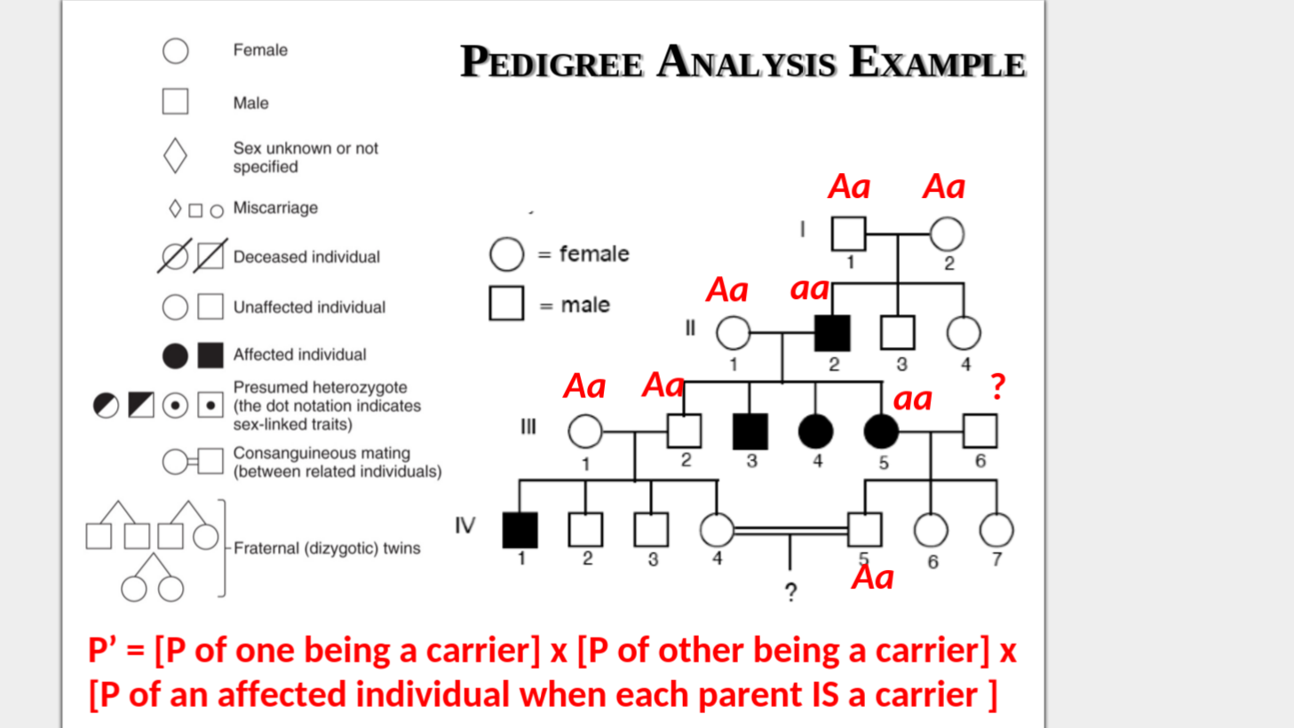 Solved Biological Genetics The Pedigree Below Shows The | Chegg.com