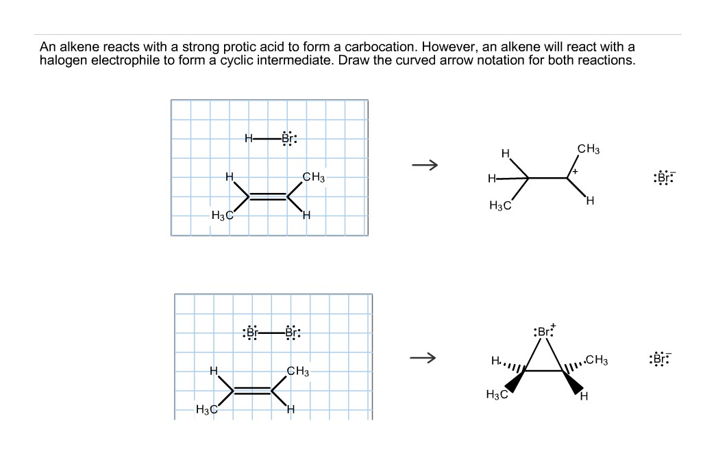 Solved An alkene reacts with a strong parotic acid to form a | Chegg.com