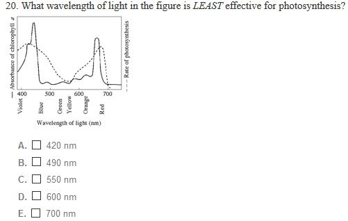 solved-what-wavelength-of-light-in-the-figure-is-least-chegg