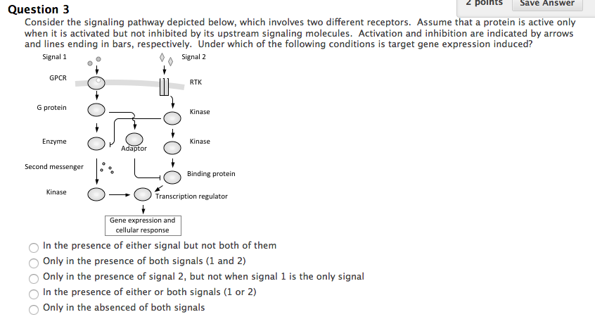 Solved Cytosol 1 6 Points Consider A Signaling Pathway Chegg Com