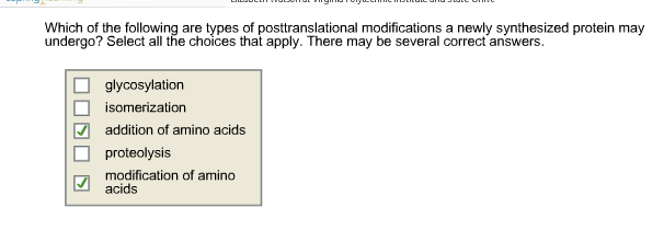 Solved Which of the following are types of posttranslational | Chegg.com