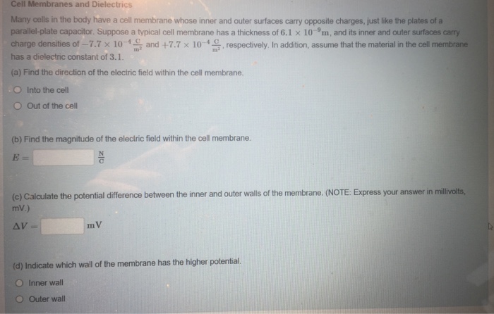 Solved Many Cells In The Body Have A Cell Membrane Whose Chegg