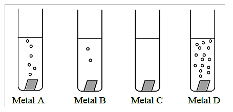 Solved Small pieces of four different metals were placed in | Chegg.com