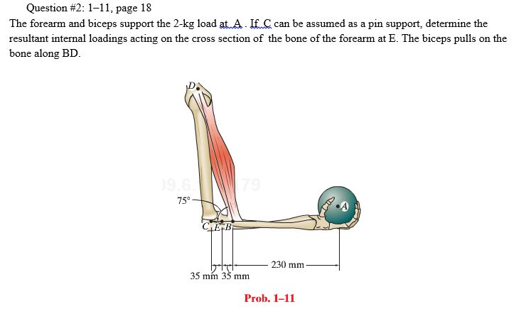 Solved Determine the internal normal force, shear force and | Chegg.com