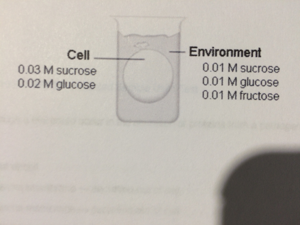 Solved If this cell is permeable to water, glucose, and