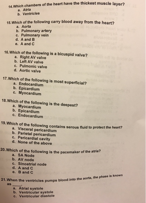 Solved yer? 14. Which chambers of the heart have the | Chegg.com