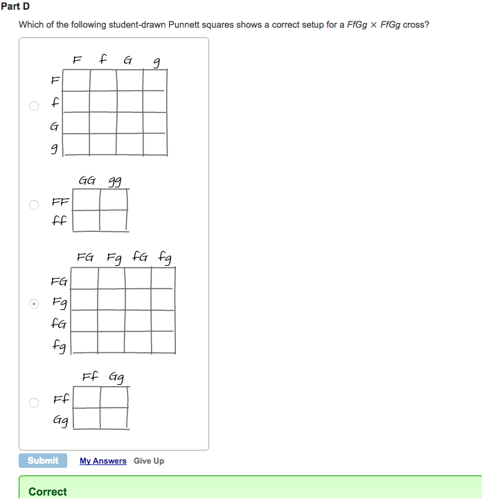 Solved Explain the two Punnett Squares Why does FfGg x | Chegg.com