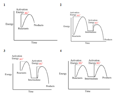 Solved Which of the following energy diagrams (1, 2, 3 or 4) | Chegg.com