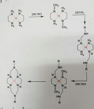 Solved Question about mechanism of [ML2+] cyclic complex. | Chegg.com