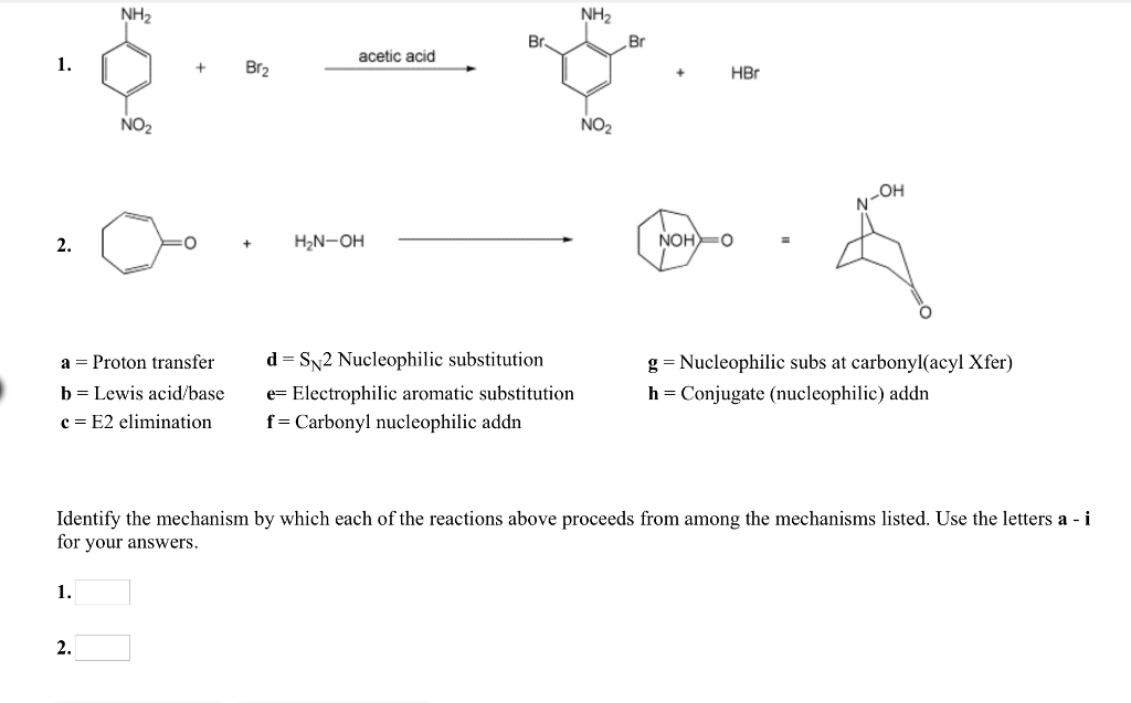 Solved N OH NOH o H2N-OH NH3 C NH NH2 NH3 CI a Proton | Chegg.com