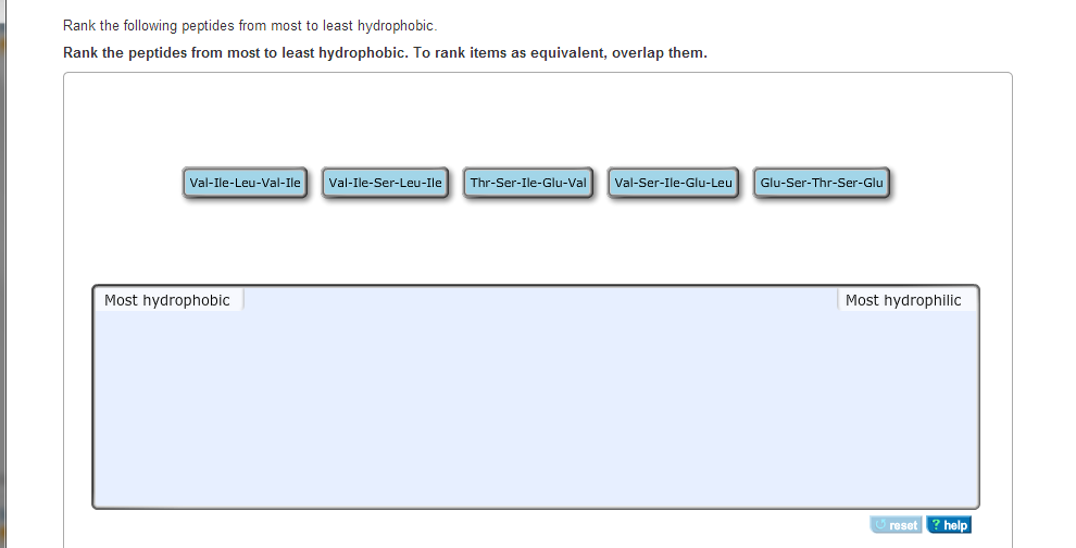 Solved Rank the following peptides from most to least | Chegg.com