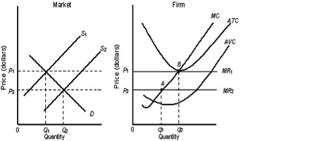 Solved Microeconomic Principles multiple choice | Chegg.com