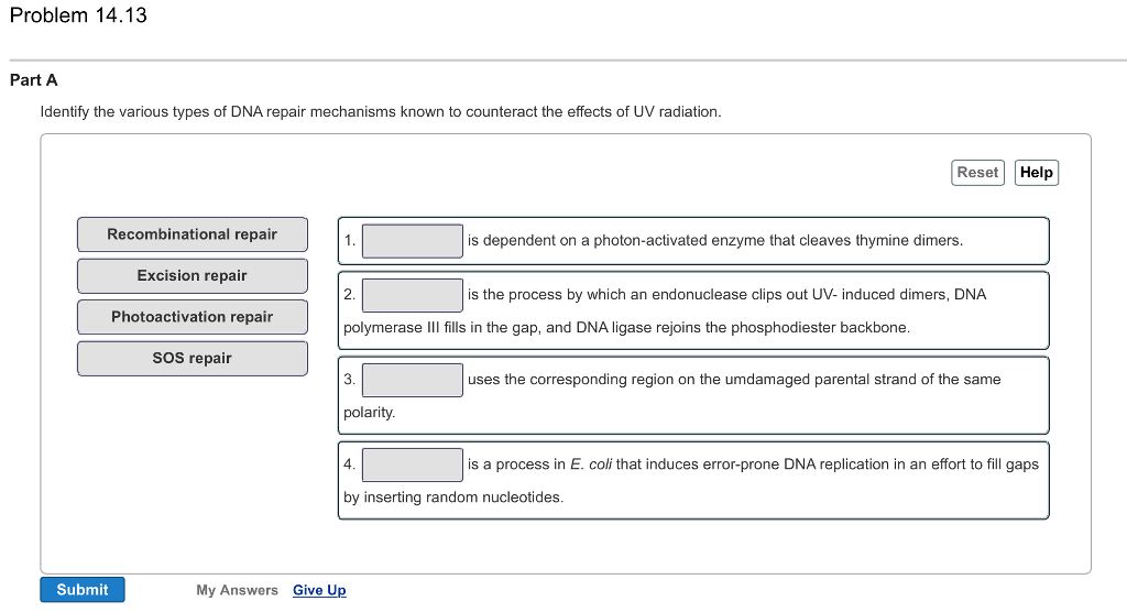 Solved Identify the various types of DNA repair mechanisms | Chegg.com