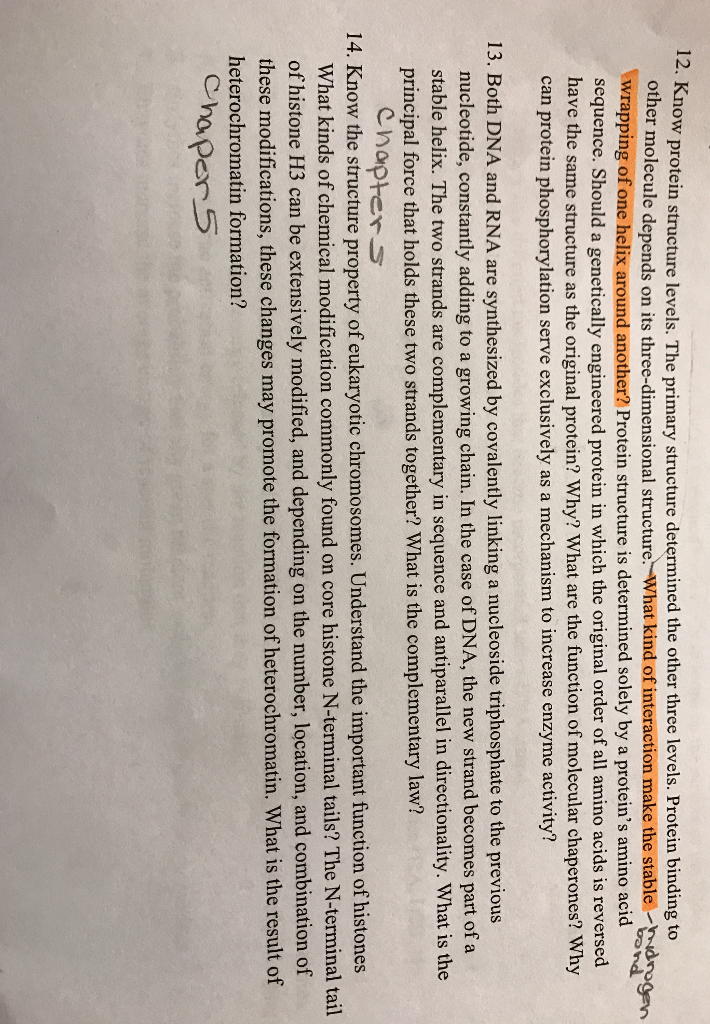 Solved 12. Know protein structure levels. The primary | Chegg.com