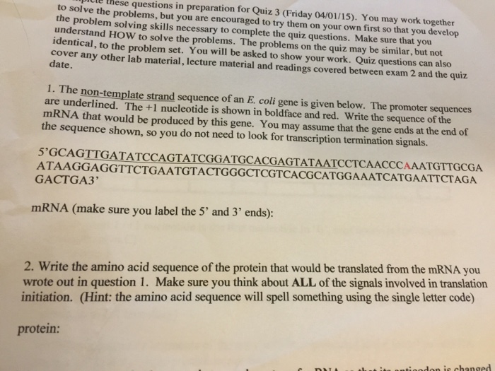 solved-the-non-template-strand-sequence-of-an-e-coli-gene-chegg