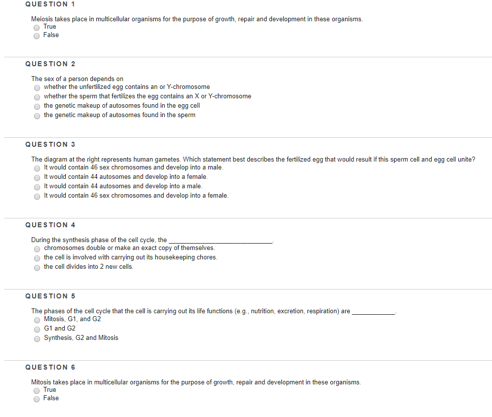 solved-question-1-meiosis-takes-place-in-multicellular-chegg