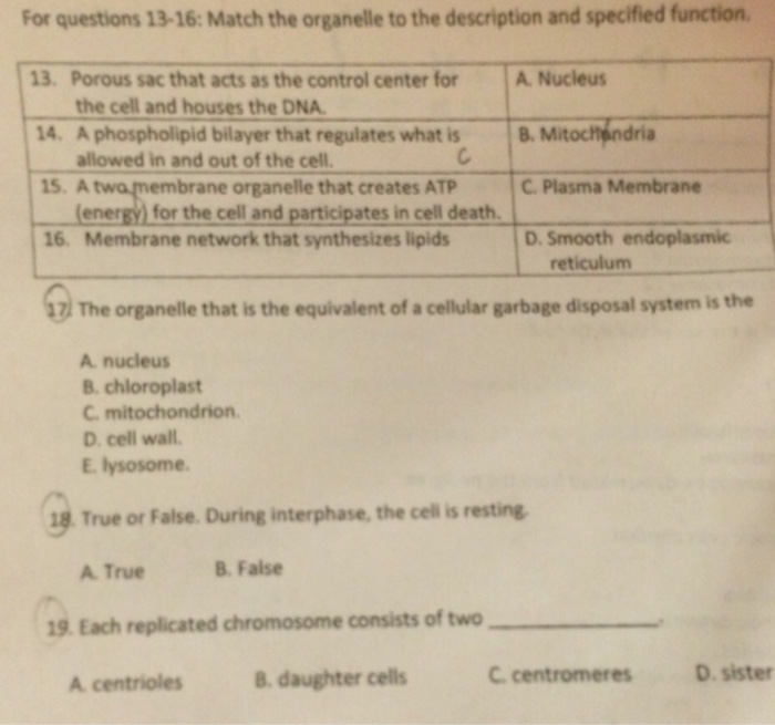 Solved For questions 13-16: Match the organelle to the | Chegg.com