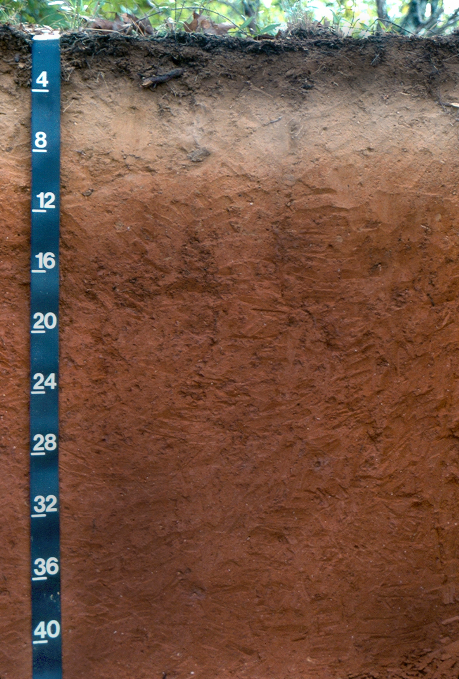 Solved Figure 31 3 Soil Profile Example The Depth Scale Is Chegg