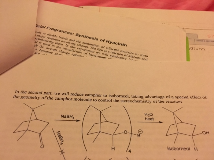 Solved A What Is The Limiting Reagent For Borneol To Camphor Chegg