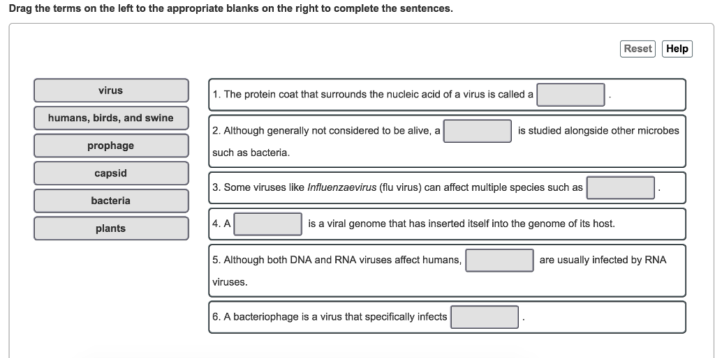 Solved Drag the terms on the left to the appropriate blanks | Chegg.com