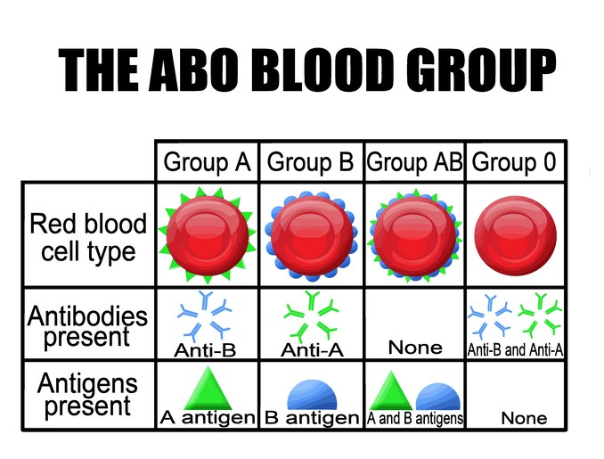 Solved Background INFO There are four types of blood A,