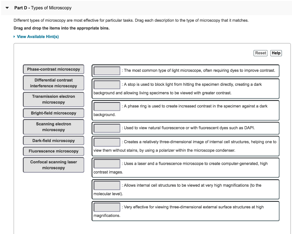 Solved Part D Types Of Microscopy Different Types Of Chegg Solved Part D Types Of Microscopy Different Types Of Chegg