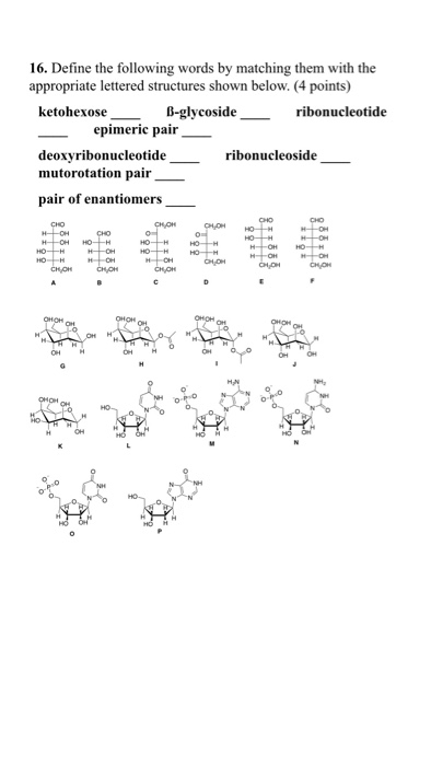 Solved Define The Following Words By Matching Them With The Chegg