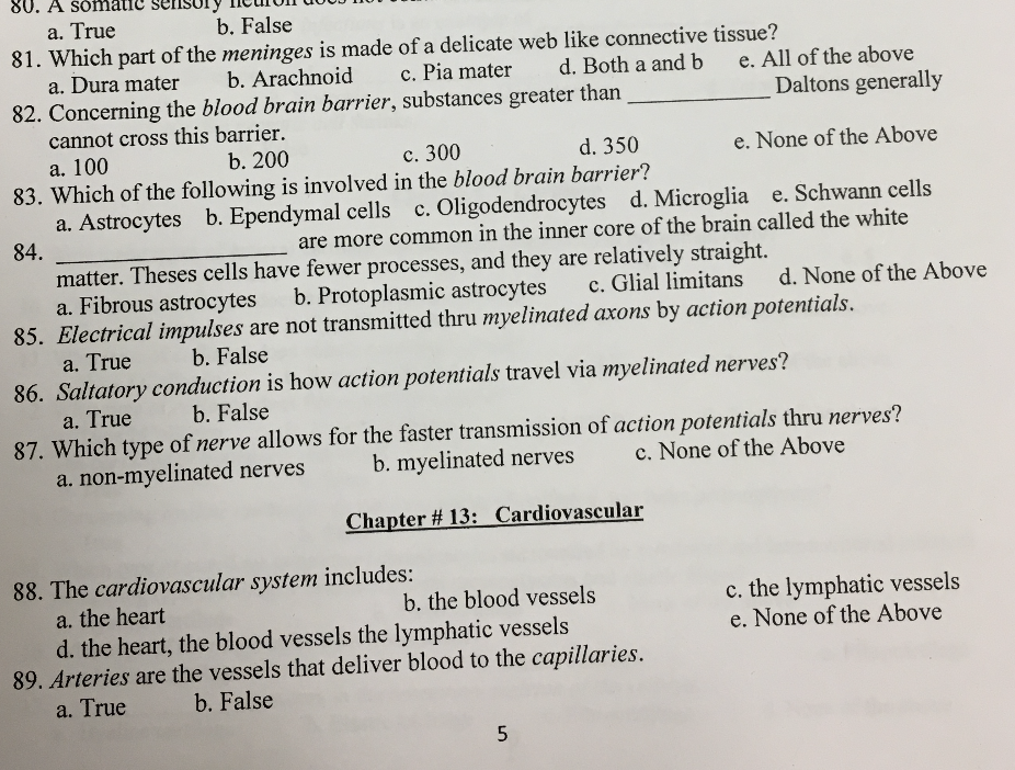 solved-80-a-somaiic-selnsoly-noun-81-which-part-of-the-chegg